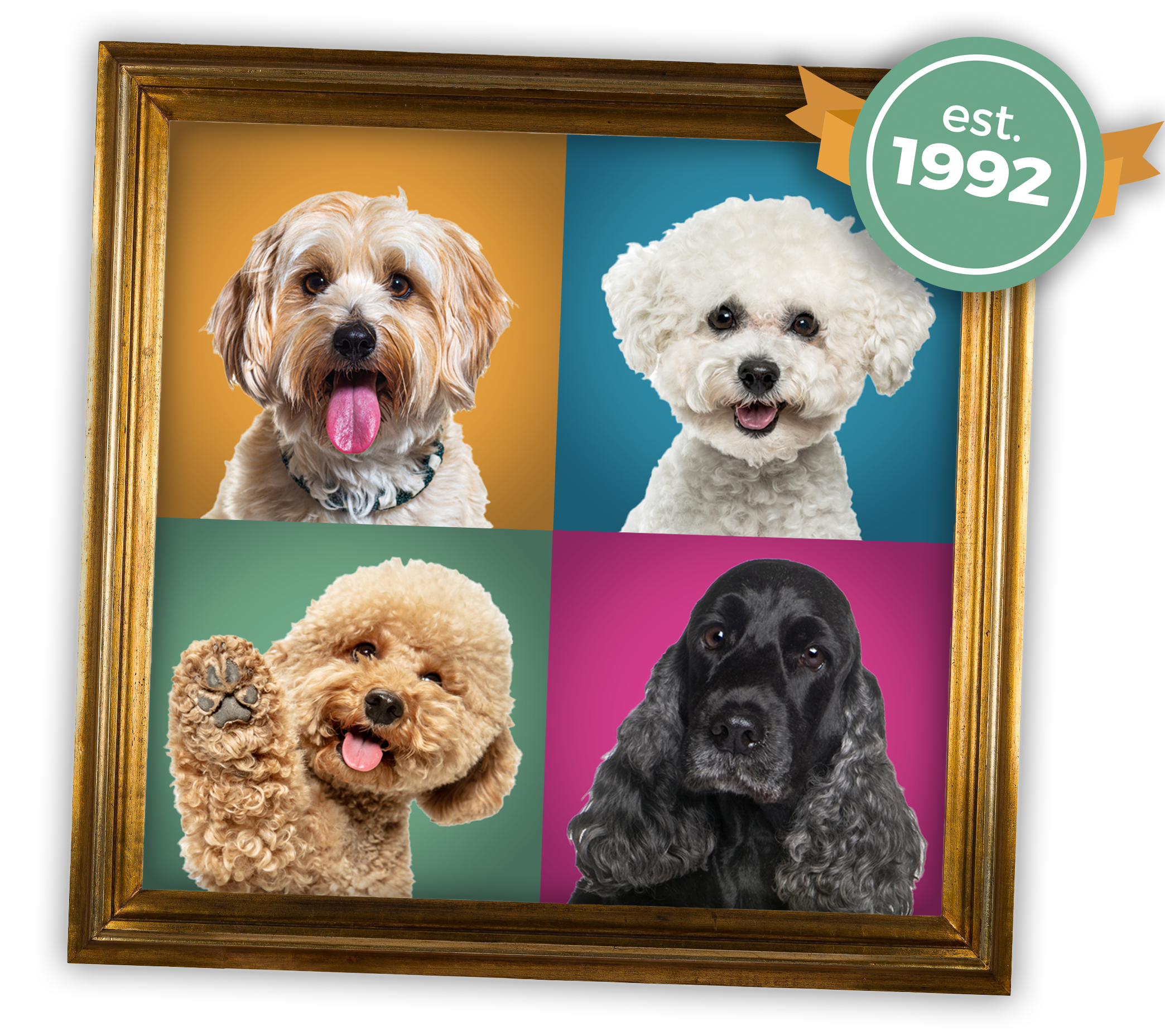 dogframe-1